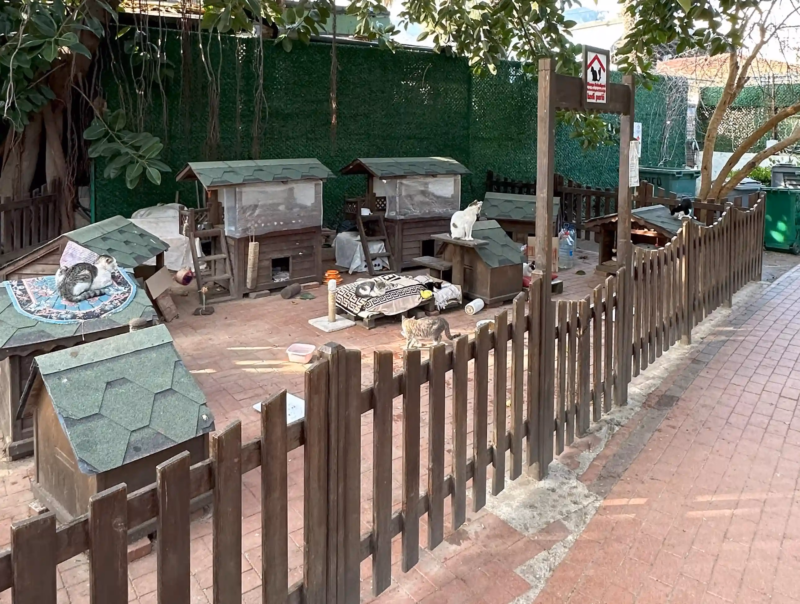 It's a nice green park full of cats you can interact with. You can also visit a cat house there